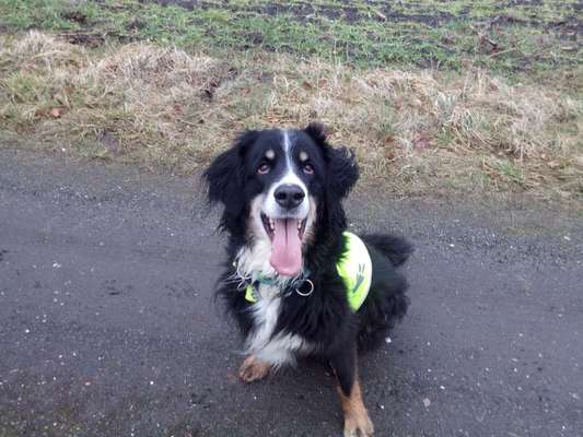 richtiger Zeitpunkt zum gehen lassen-Beitrag-Bild