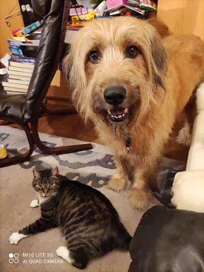 Dogorama Photo Challenge - Be my valentine-Beitrag-Bild