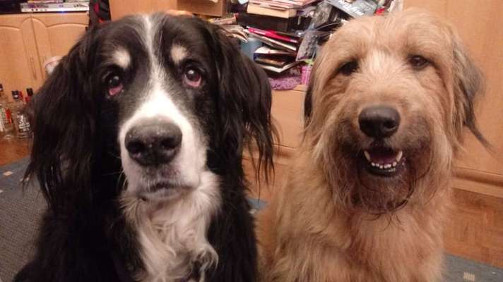 Lieblingsbild-Beitrag-Bild