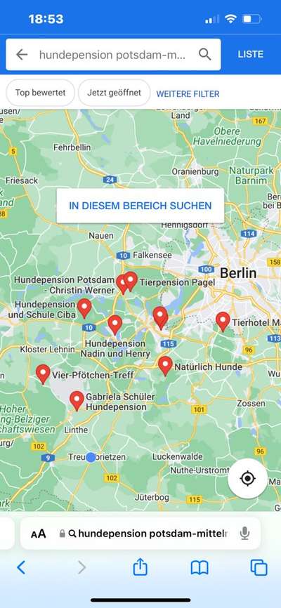 Antibell Halsband-Beitrag-Bild