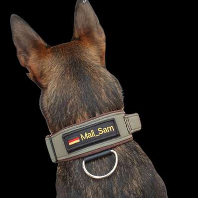 Hundeshops-Mali-Sam-Bild