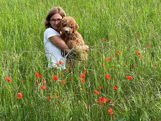 !!SELFIE MIT DEINEM LIEBLING!!-Beitrag-Bild