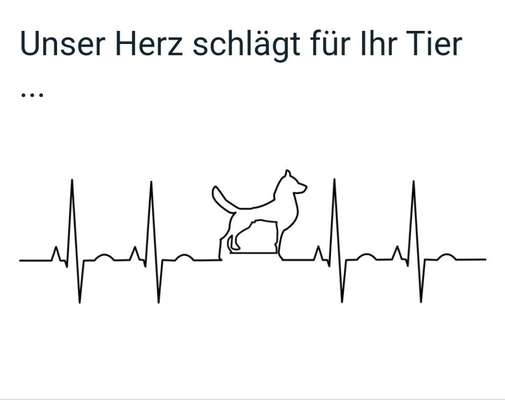 Tierärzte-Tierarztpraxis zur Schmiede-Bild