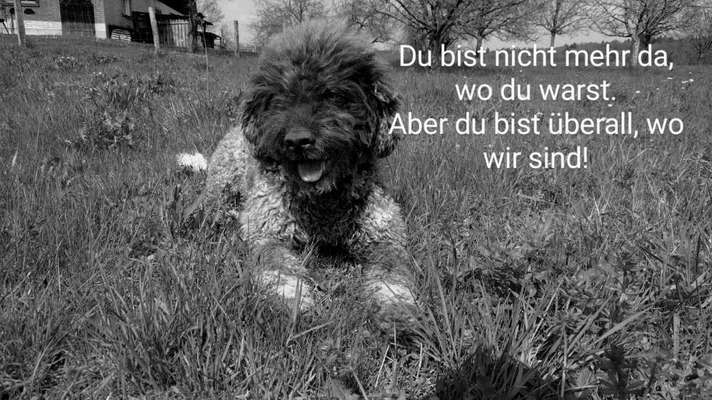 Erinnerungs Tattoos-Beitrag-Bild