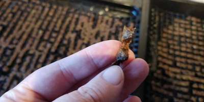 Heute gibt es.....der "ich mach die Leckerlis-Selber-Thread"-Beitrag-Bild