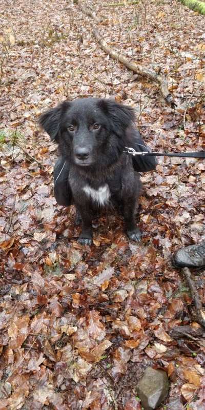 CHALLENGE NR. 18 - ON TOUR-Beitrag-Bild