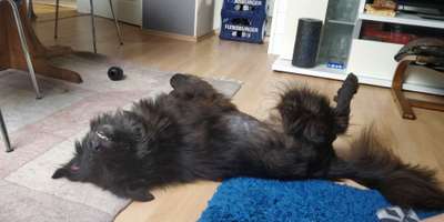 Platz im Autokofferraum-Beitrag-Bild