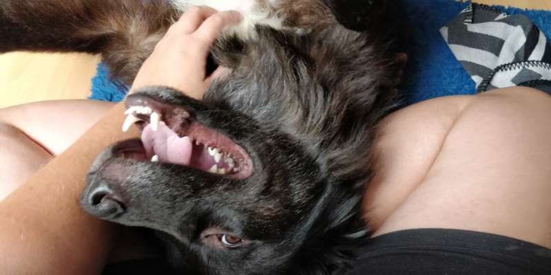 Fotochallange Nr. 6 Die irrsten Blicke-Beitrag-Bild