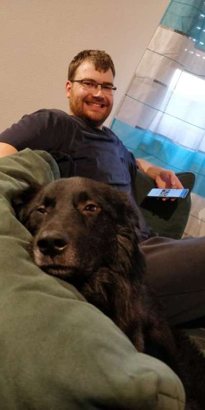 Mischlingshunde Foto Aufruf-Beitrag-Bild