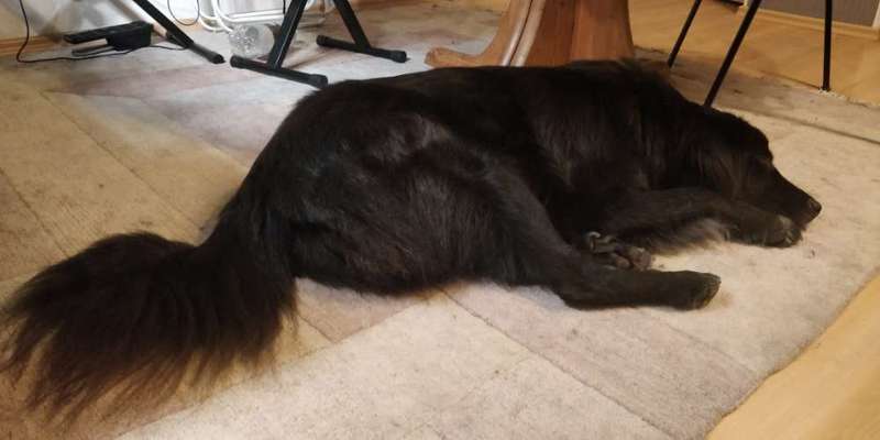 müde der kleine-Beitrag-Bild