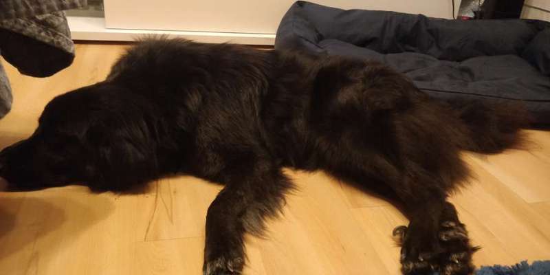 Die unbequemsten und lustigsten Schlafpositionen-Beitrag-Bild