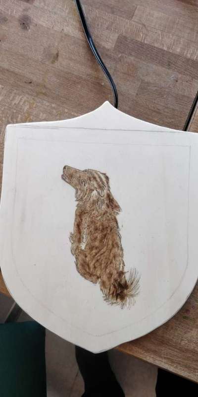 Bastelstunde für den Vierbeiner-Beitrag-Bild