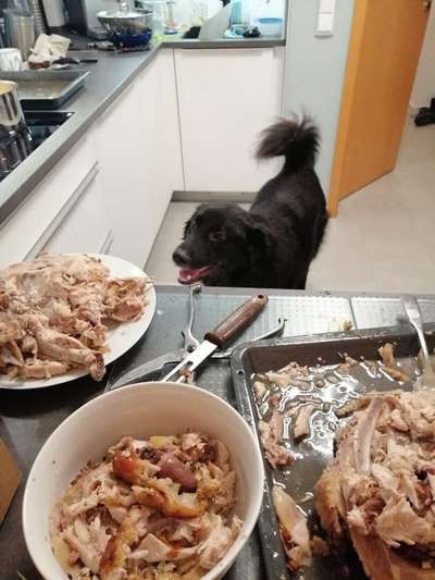 Challenge Nr. 10: "Das schönste Lächeln"-Beitrag-Bild