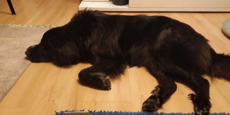 müde der kleine-Beitrag-Bild