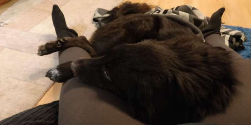 müde der kleine-Beitrag-Bild