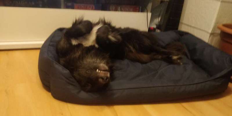 Die unbequemsten und lustigsten Schlafpositionen-Beitrag-Bild