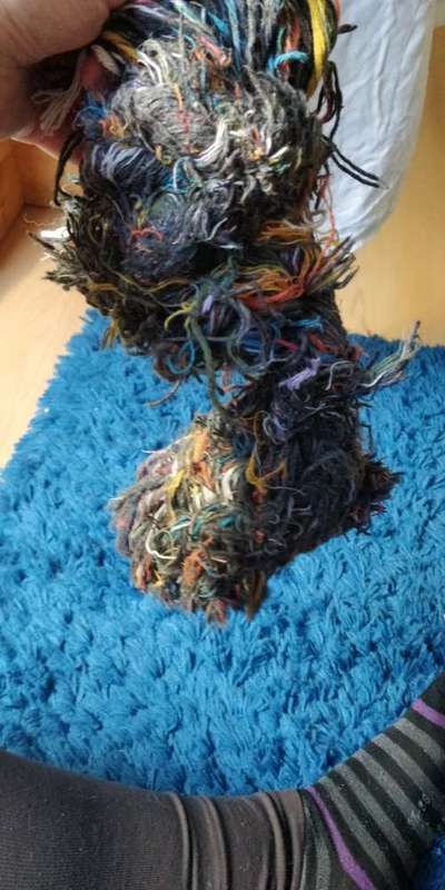 Kuscheltiere für den Hund-Beitrag-Bild