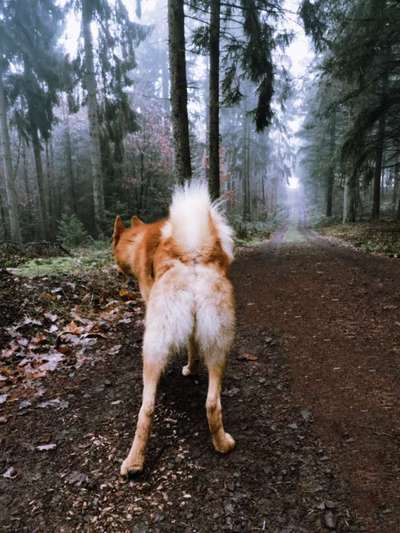 Foto Challenge Nr. 79-Beitrag-Bild