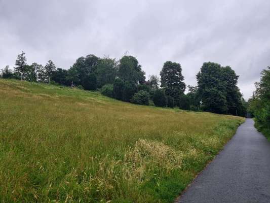 Kleinkind im Hundefreilauf-Beitrag-Bild