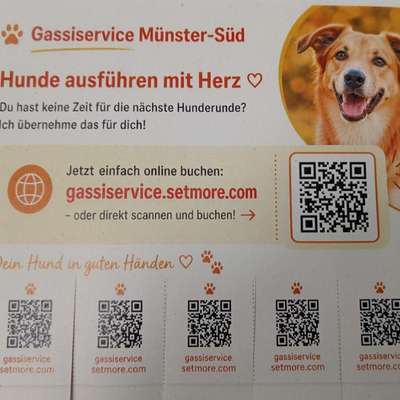 Hundetreffen-Gassi in Geist und Berg Fidel-Bild