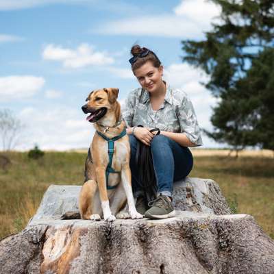 Hundetreffen-Souveräner Hundekumpel gesucht für gemeinsame Gassirunden in belebteren Gebieten