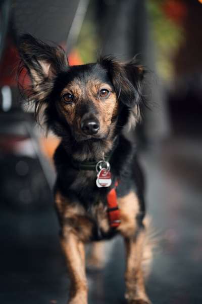 Zeigt eure Portraits-Beitrag-Bild