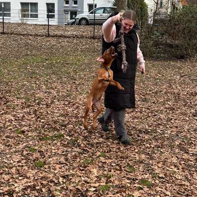 Hundetreffen-Spieletreffen-Profilbild