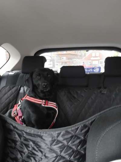 117. Fotochallenge-Beitrag-Bild