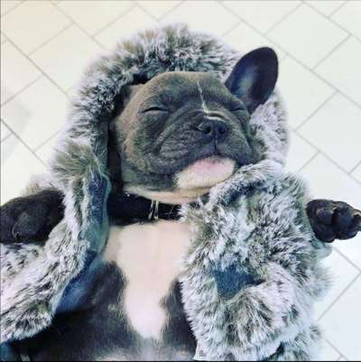 Dogorama Photo Challenge - Es wird nochmal kalt!-Beitrag-Bild