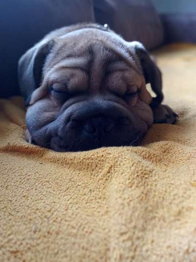 Sie werden so schnell erwachsen ...-Beitrag-Bild