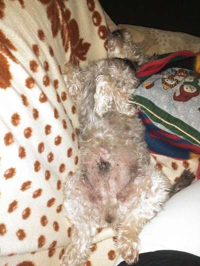 Die unbequemsten und lustigsten Schlafpositionen-Beitrag-Bild