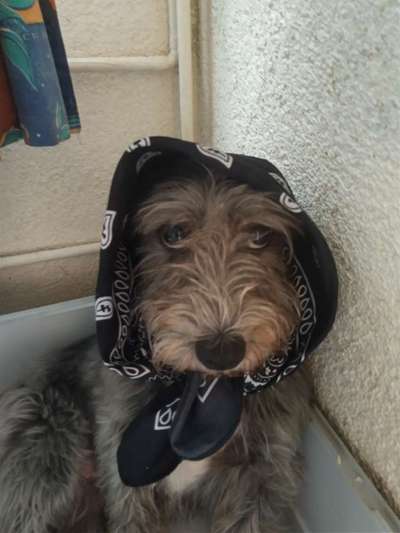 Fotochallange Nr. 6 Die irrsten Blicke-Beitrag-Bild