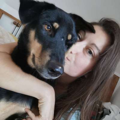 Hundetreffen-Social walk/Freilauf 🐕🦗-Profilbild