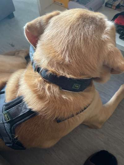 Ratespaß geht weiter-Beitrag-Bild