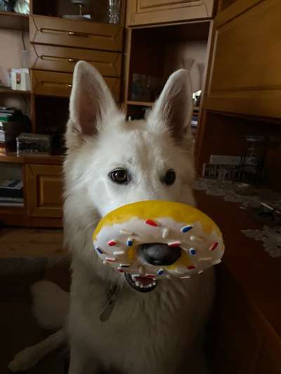 15. Handyfoto Challenge - Indoor Aktivitäten-Beitrag-Bild