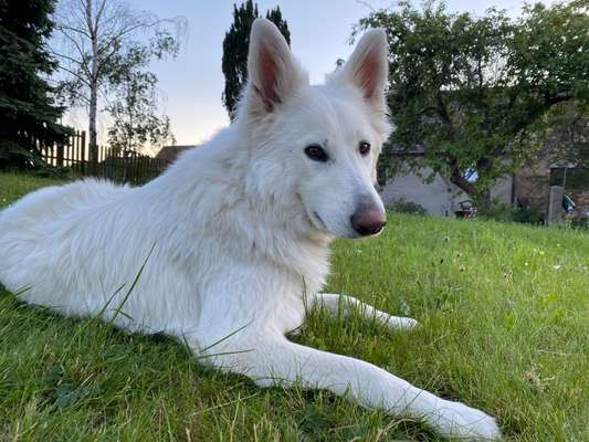 Dogorama Photo Challenge - Steine/Felsen-Beitrag-Bild