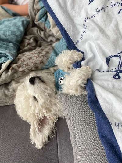 Die unbequemsten und lustigsten Schlafpositionen-Beitrag-Bild