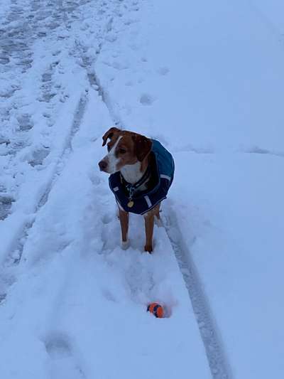 Pullis, Jacken, Hütte und alles sonstiges-Beitrag-Bild