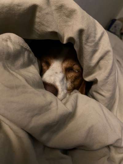 Pullis, Jacken, Hütte und alles sonstiges-Beitrag-Bild