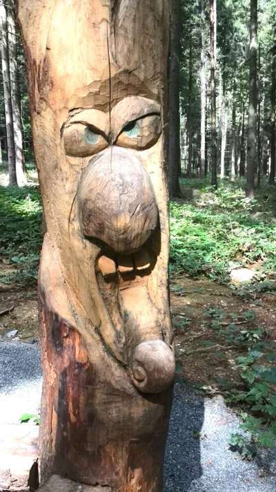 Bäume mit Gesicht-Beitrag-Bild