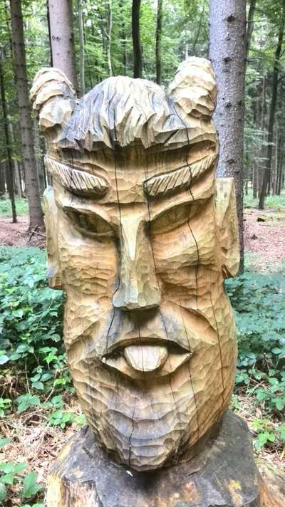 Bäume mit Gesicht-Beitrag-Bild