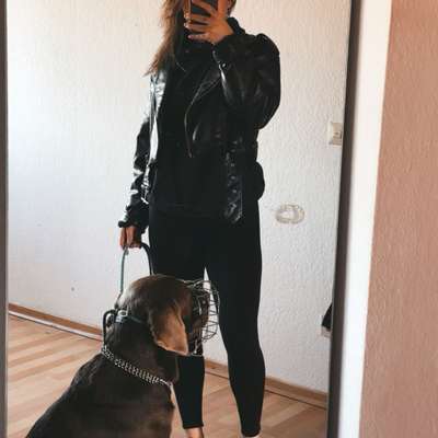 Hundetreffen-Training