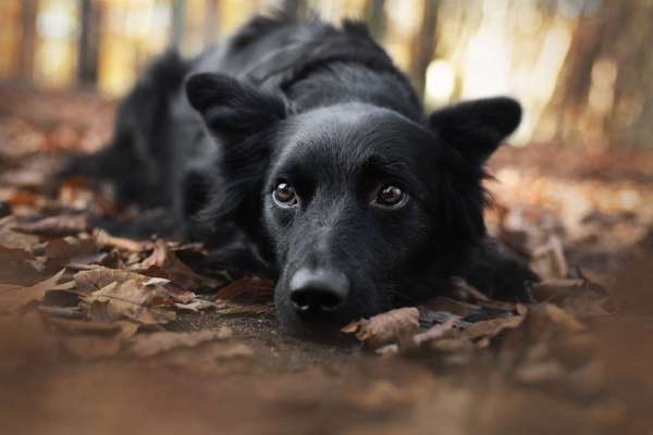 Photoshop und Co.-Beitrag-Bild