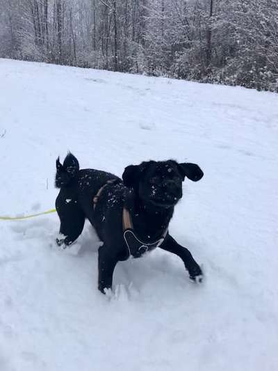 Verspielt-Beitrag-Bild