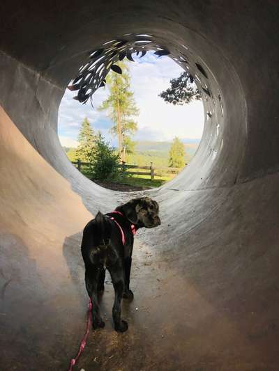 Dogorama Foto Challenge - Wanderziel-Beitrag-Bild