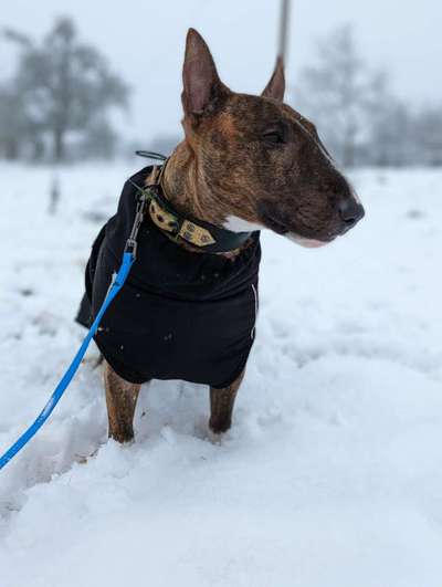 Verspielt-Beitrag-Bild