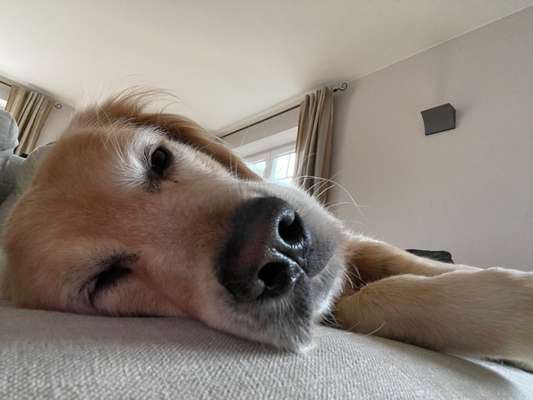 Fotochallange Nr. 57     PORTRÄT.   Beendet!!!!!!!!-Beitrag-Bild