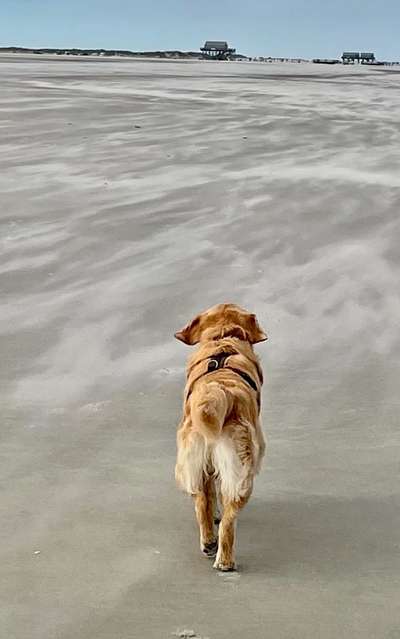 Fotowettbewerb Natur-Beitrag-Bild