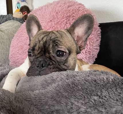 Erstes Bild-Beitrag-Bild