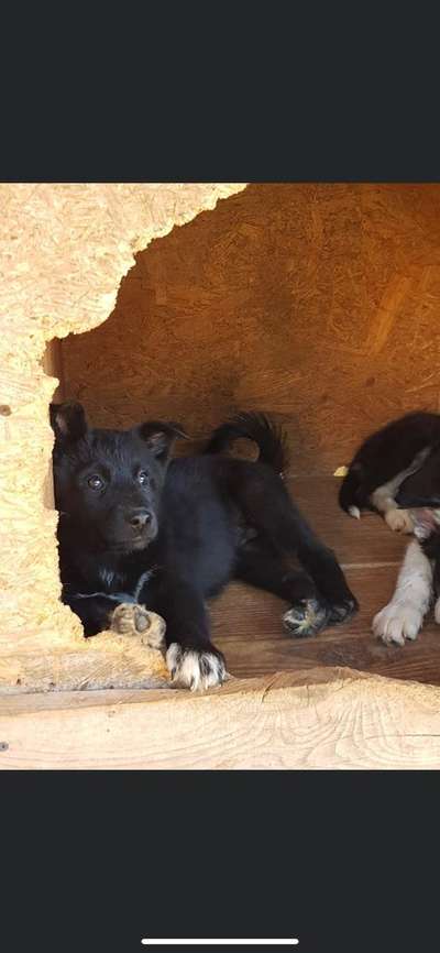 Foto Challenge 3-Beitrag-Bild